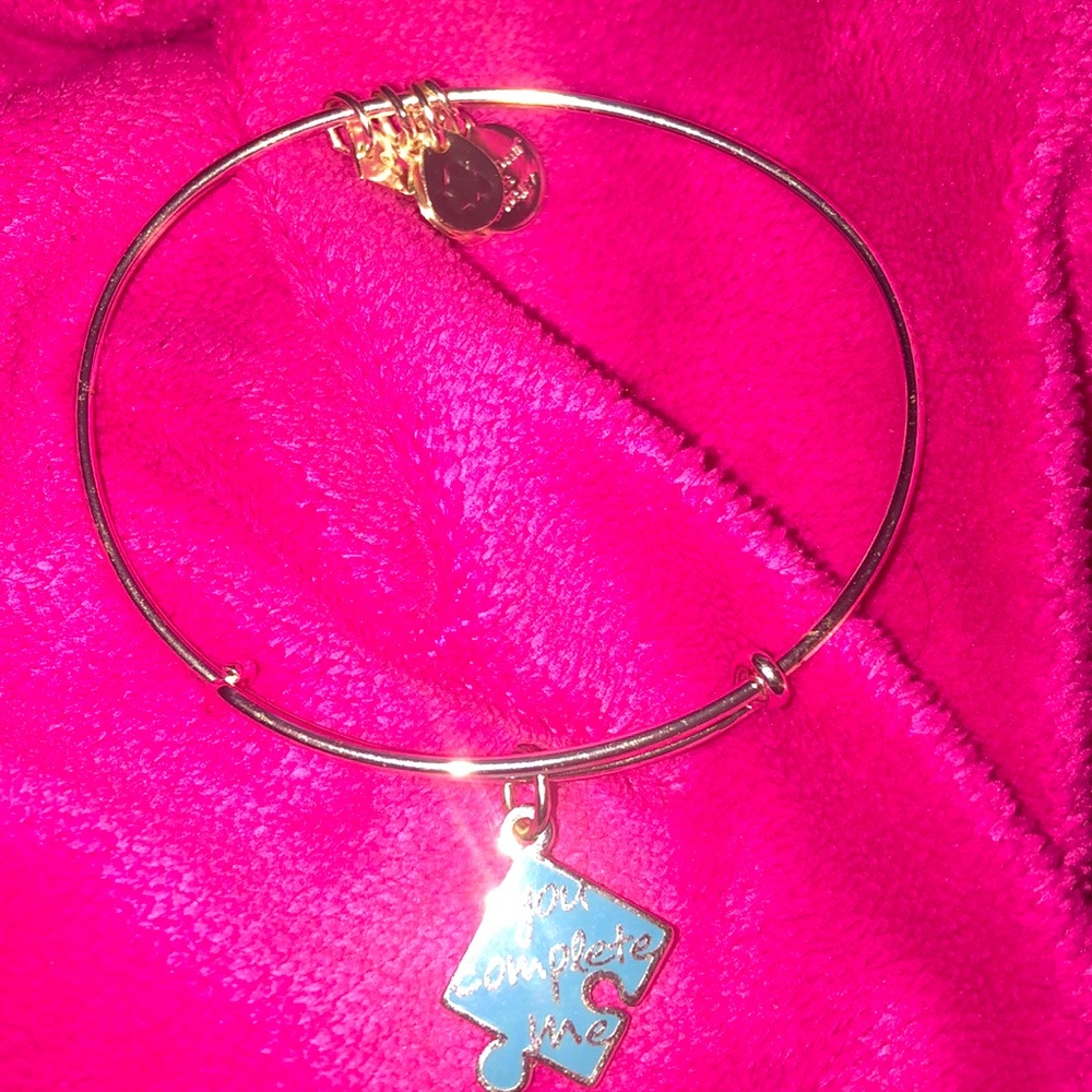 Alex and Ani You Complete Me Charm Bracelet 💕